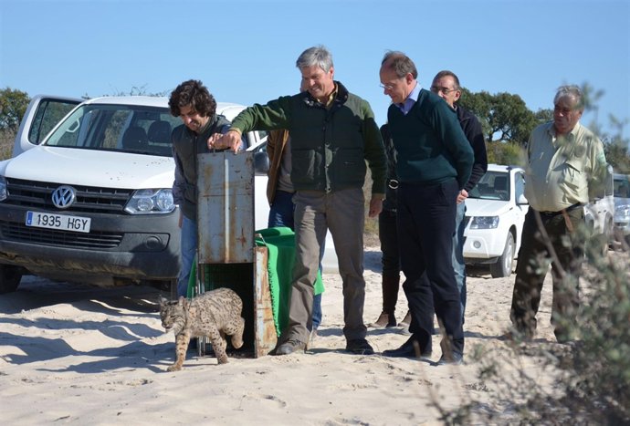 Díaz Trillo, Morante De La Puebla Y Espartaco En La Suelta De Lince En Doñana