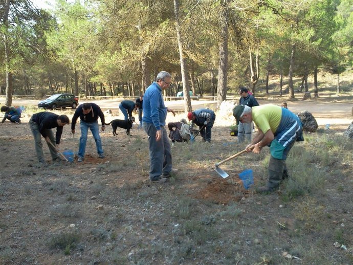Iniciativa 'Planta Un Árbol Y Cuida Mil' De La Generalitat Y La Caixa