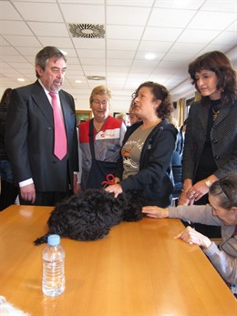 Belloch Y Dueso Conocen Programa Asistencial Con Perros Adoptados En Casa Amparo