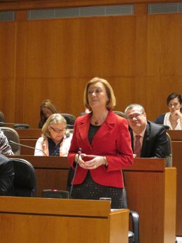 Luisa Fernanda Rudi, En El Pleno
