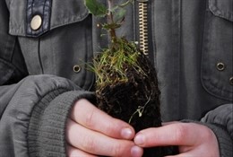 Día Forestal Mundial 