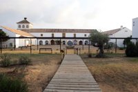 Junta ultima la inscripción de Doñana en el Catálogo del Patrimonio Histórico de Andalucía