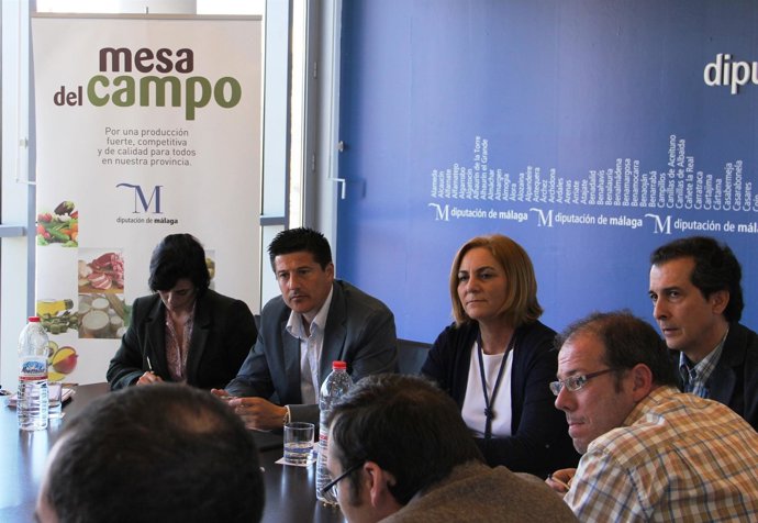 Mesa Del Campo Del Aceite