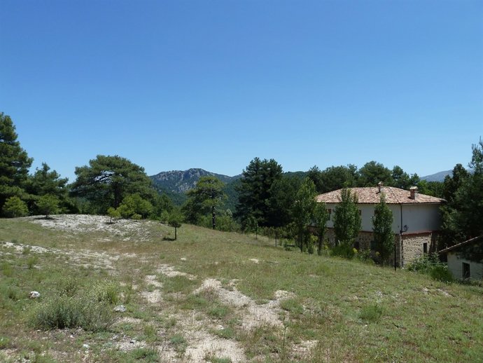 Entorno De La Casa De Las Acebeas, En La Sierra De Segura.