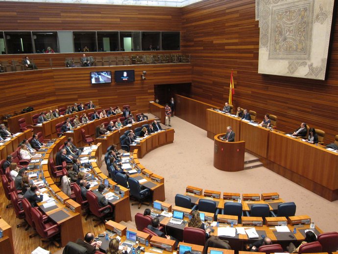Pleno De Las Cortes De Cyl