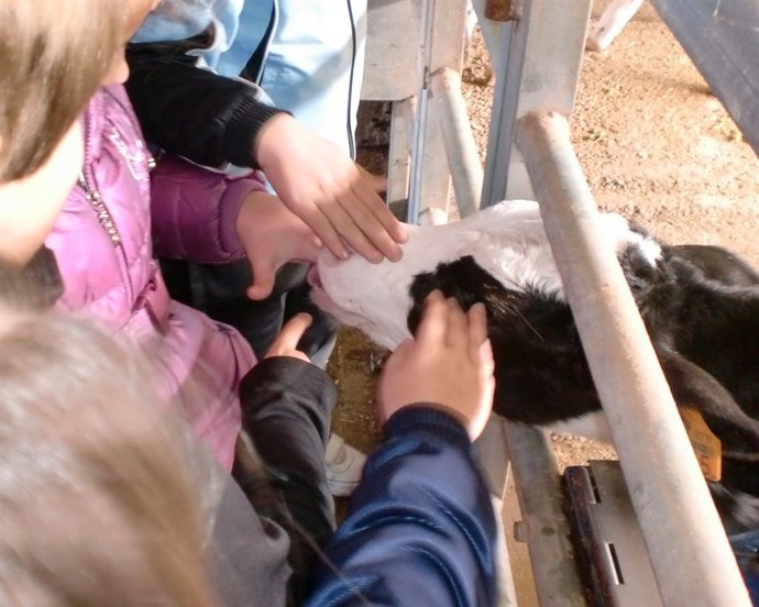 Consumo De Leche De Niños