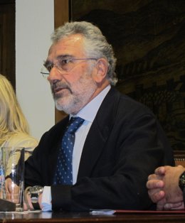 Fernández De Mesa Durante La Rueda De Prensa