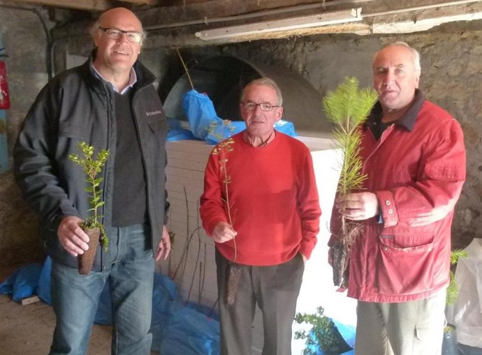 Entrega De Árboles En Suances