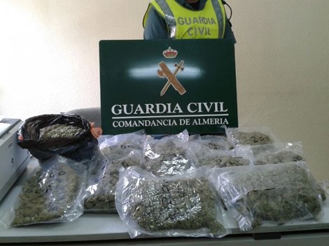 Marihuana Intervenida 