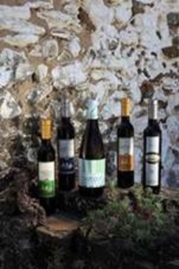 Vinos De La Bodega Jorge Ordóñez