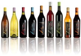 Vinos Pago Del Vicario