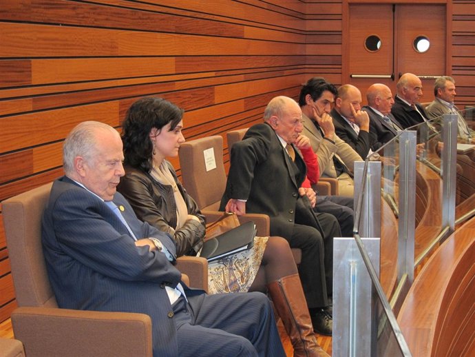 Amoedo En La Tribuna De Invitados De Las Cortes