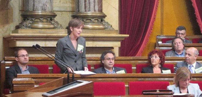 Diputados De ICV-Euia En El Pleno Del Parlament