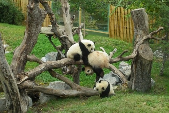 Parques Reunidos Presenta Nuevas Propuestas Para Semana Santa