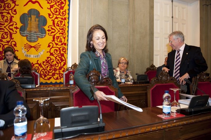 Pleno Extraordinario Del Ayuntamiento De Cartagena