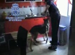 Vídeo de la noticia