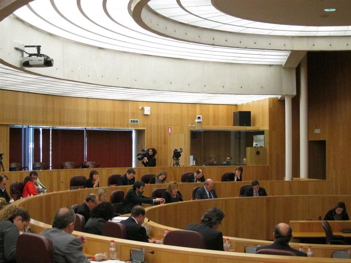 Pleno De La Diputación De Granada