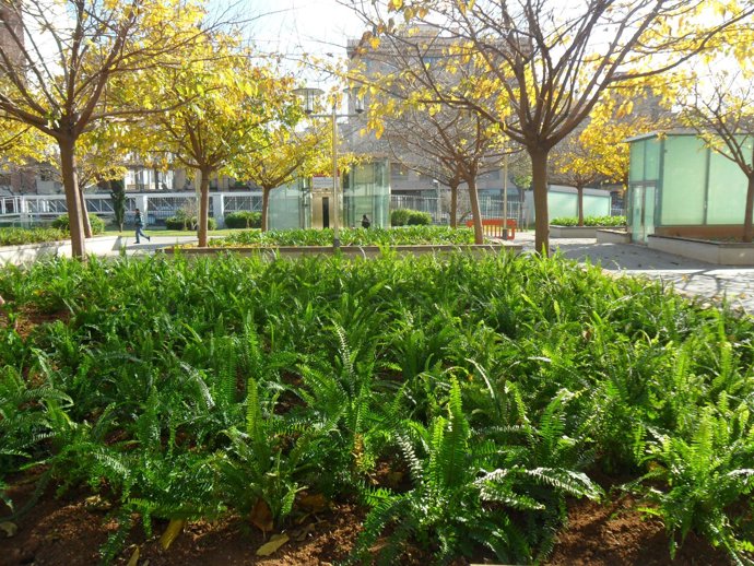 Parque De Ses Estacions