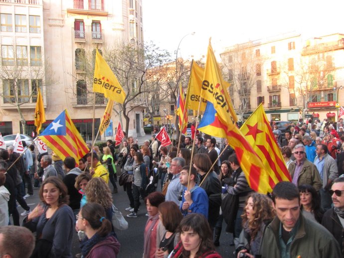 Participantes En La Manifestación De Palma