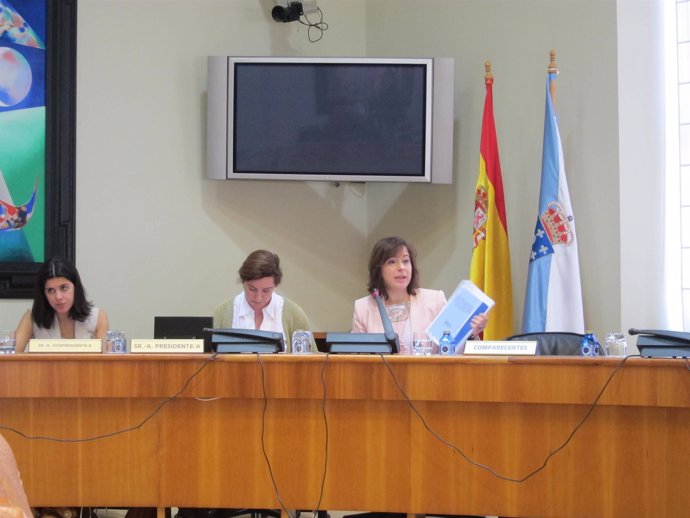 Lopez Abella Presenta En El Parlamento El Informe De Violencia De Género 2011