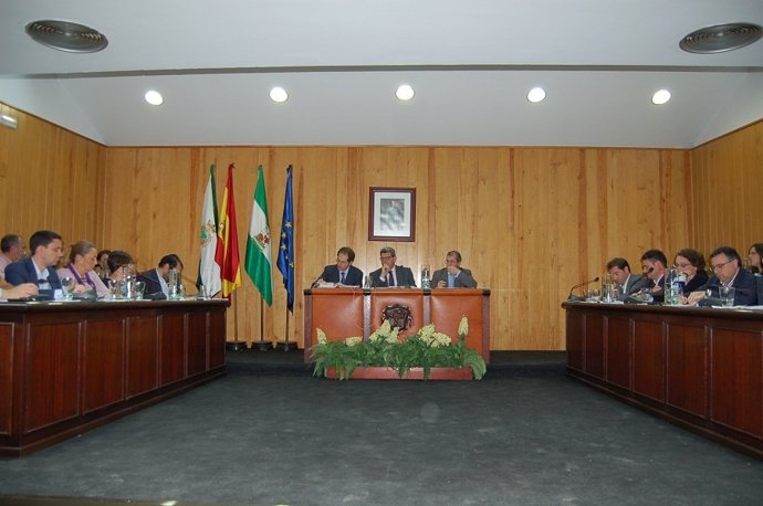 Pleno Del Ayuntamiento De Mairena Del Aljarafe (Sevilla) De Este Viernes