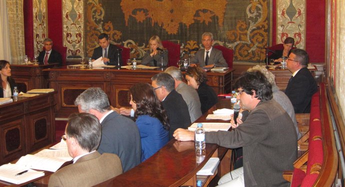 Pleno Del Ayuntamiento De Alicante