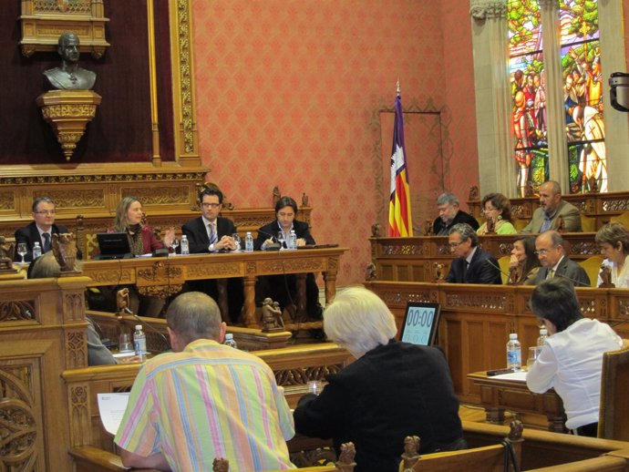Pleno Del Consell De Mallorca