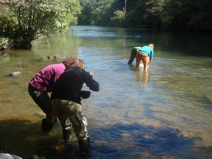 Diagnóstico Del Estado De Los Ríos
