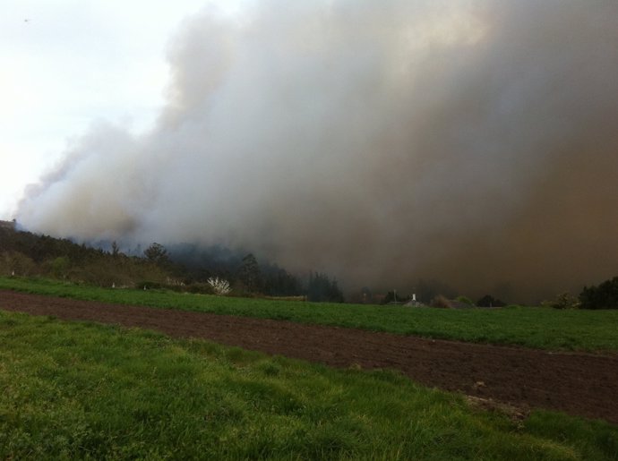 Incendio En Las Fragas Do Eume, A Capela, As Pontes, Monfero