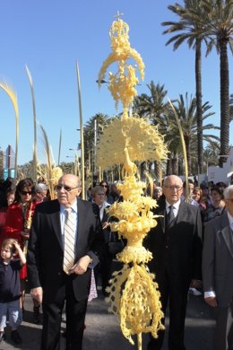 Palma Ganadora Del Concurso De Palmas De Elche (Alicante)