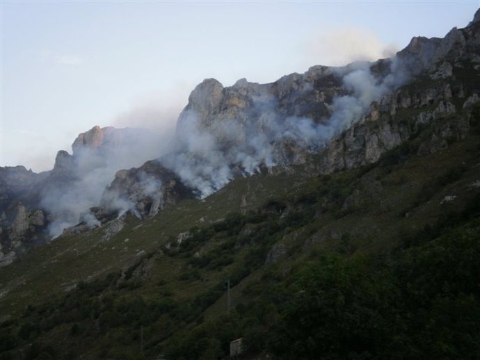   Incendio En Pico De Europa