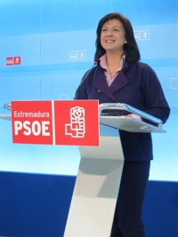 PSOE extremeño: IU será quien tenga que decidir sobre una moción de censura 