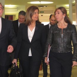 Ministra De Empleo, Fátima Báñez, En El Senado