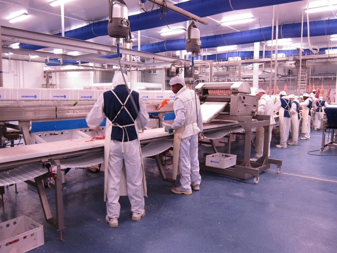 Trabajadores De Una Empresa Cárnica