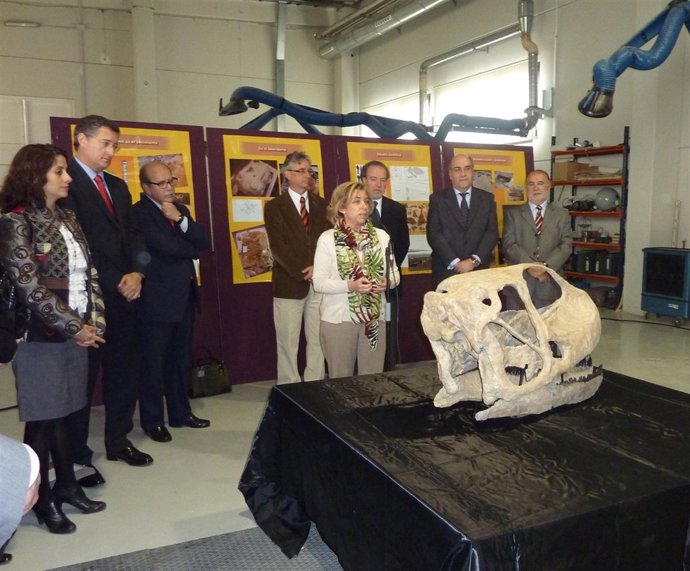 Dinopolis Presenta El Cráneo Del Dinosaurio Más Grande De Europa.