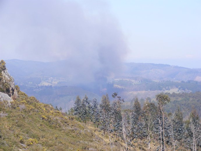 Incendio En Monfero, Fragas Do Eume