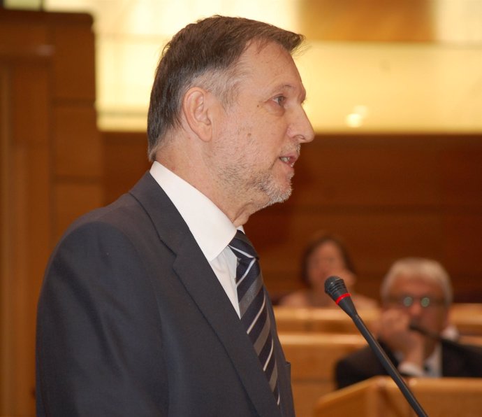 El Portavoz Del PSOE En El Senado, Marcelino Iglesias