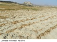 La Federación Rural Galega pide que se declare zona catastrófica a Galicia por la sequía