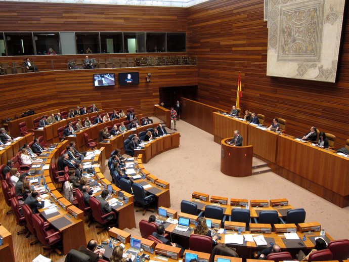 Pleno De Las Cortes De Castilla Y León.