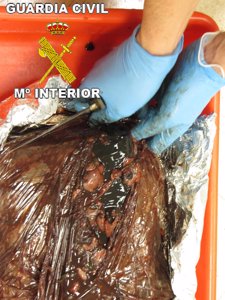 Carne Incautada En Barajas Con Cocaína En Su Interior