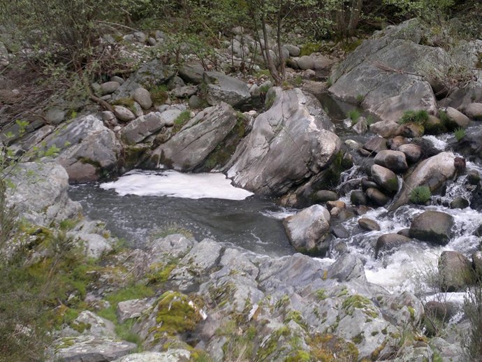 Imagen Del Río Arenal