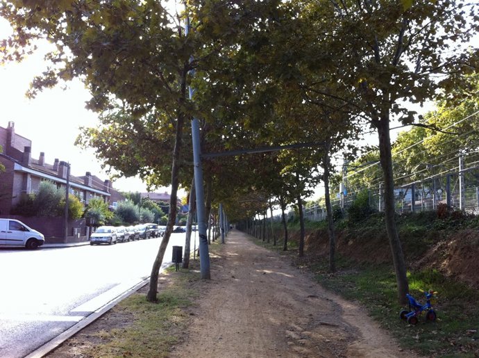 Vía Pública, Árboles Y Zona Para Peatones En Sant Cugat Del Vallès.