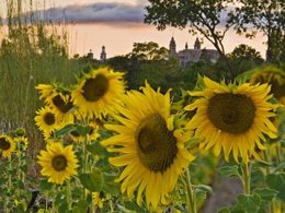 Foto Ganadora En El Concurso Para El Calendario De Pamplona 2012.