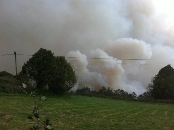 Incendio En Las Fragas Do Eume, En A Capela