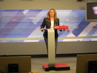 Jiménez (PSOE) califica de "preconstitucionales" las afirmaciones del obispo de Alcalá y muestra su "absoluto rechazo"