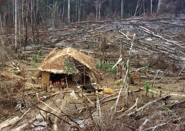 Familia de aborígenes en medio de un proceso de deforestación