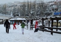 Los empresarios de Sierra Nevada analizan este martes el cierre de la estación