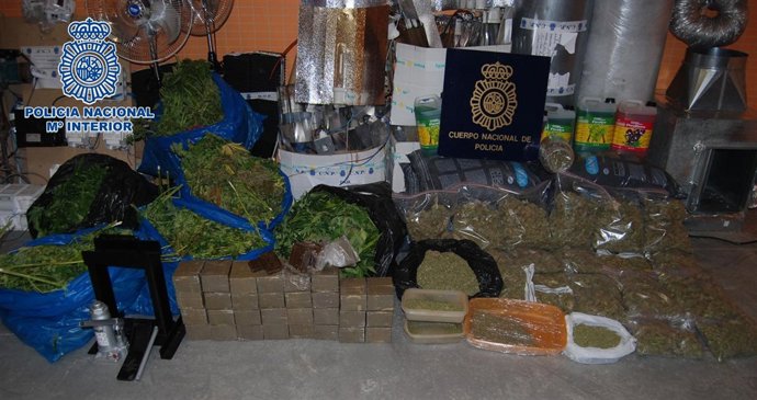 Marihuana Decomisada