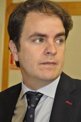 El Consejero De Presidencia Y Justicia De Aragón, Roberto Bermúdez De Castro.