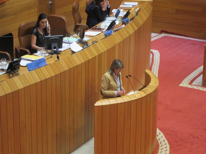 Rosa Quintana, Durante Su Comparecencia Sobre Incendios